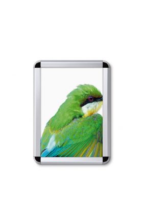 A3 Snap Frame - Tamper-proof - Rounded Corners (32 mm)