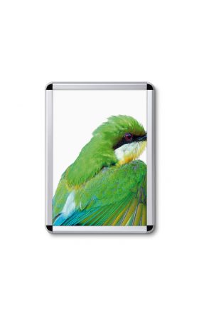 Foto - A2 Snap Frame, Tamper-proof, Rounded Corners (32 mm)